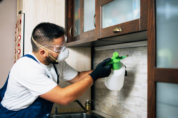 Best Best Pest Control Companies  in Summer Set, MO