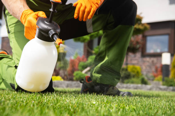 Best Wildlife Control Services  in Summer Set, MO