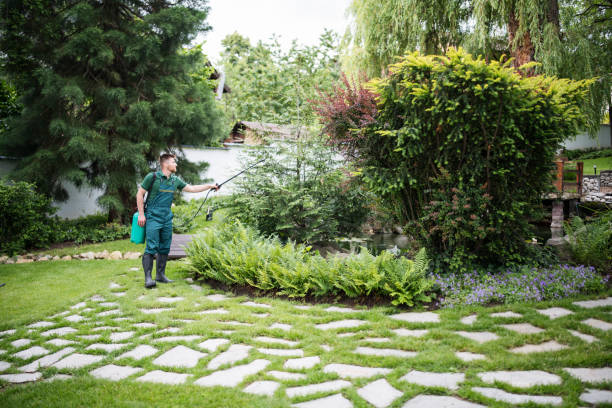 Best Wasp Removal Services  in Summer Set, MO